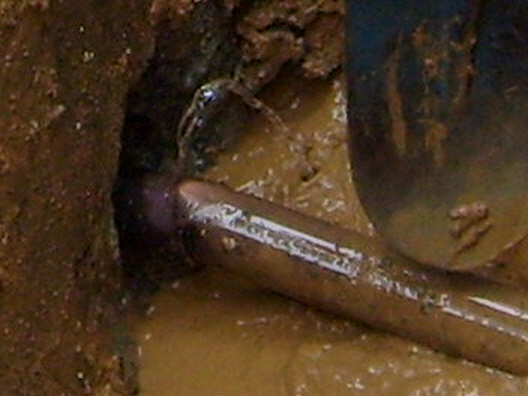 resize_S6300030.JPG