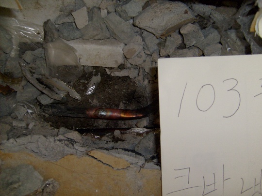 S6300145.JPG