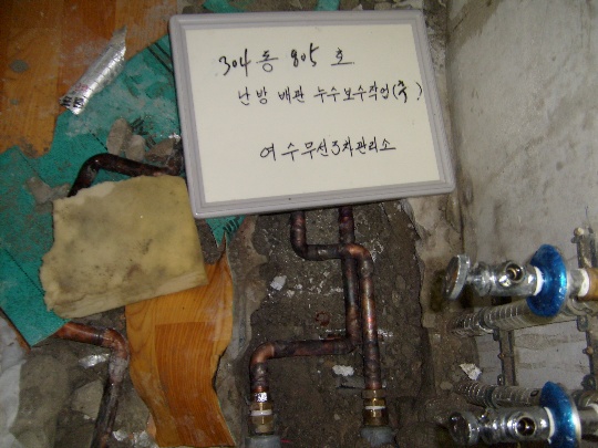 S6300154.JPG