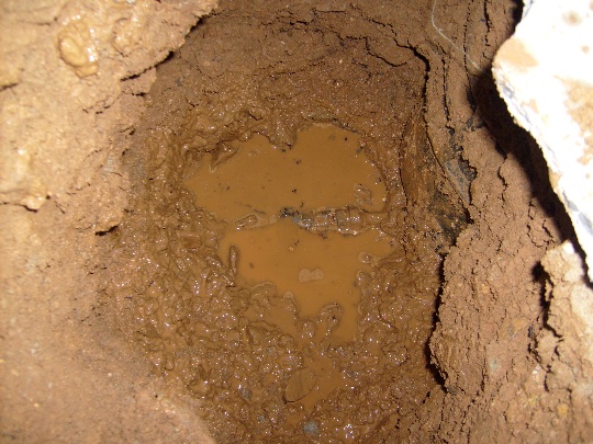 S6300241.JPG