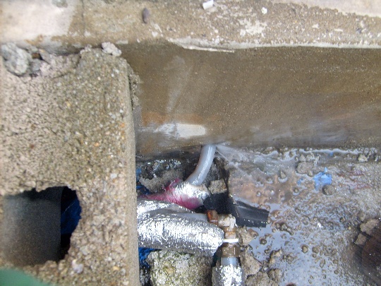 S6300341.JPG